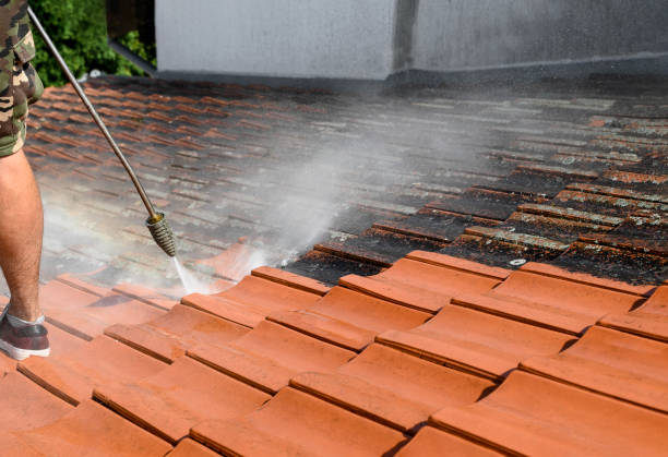 Best Pressure Washing Near Me  in Mount Pleasant, UT